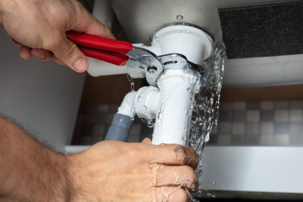 Best Flooded house restoration  in Glencoe, AL