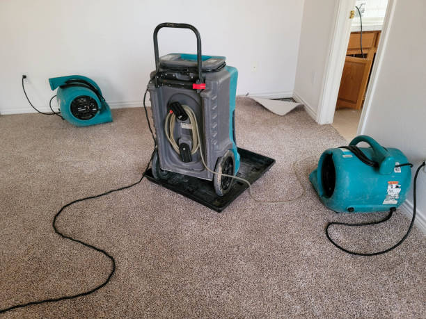 Best Emergency water damage restoration  in Glencoe, AL