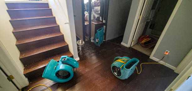 Best Emergency water damage restoration  in Glencoe, AL
