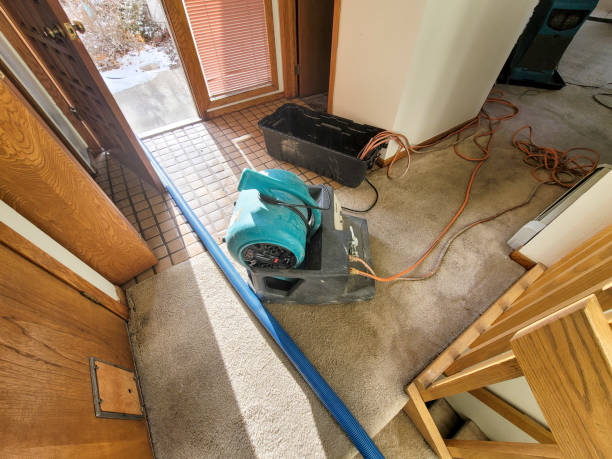 Water damage restoration insurance claims in Glencoe, AL