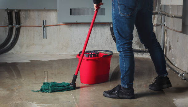Best Flood damage cleanup  in Glencoe, AL