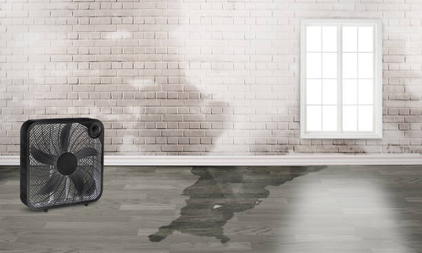 Best Flood restoration services  in Glencoe, AL